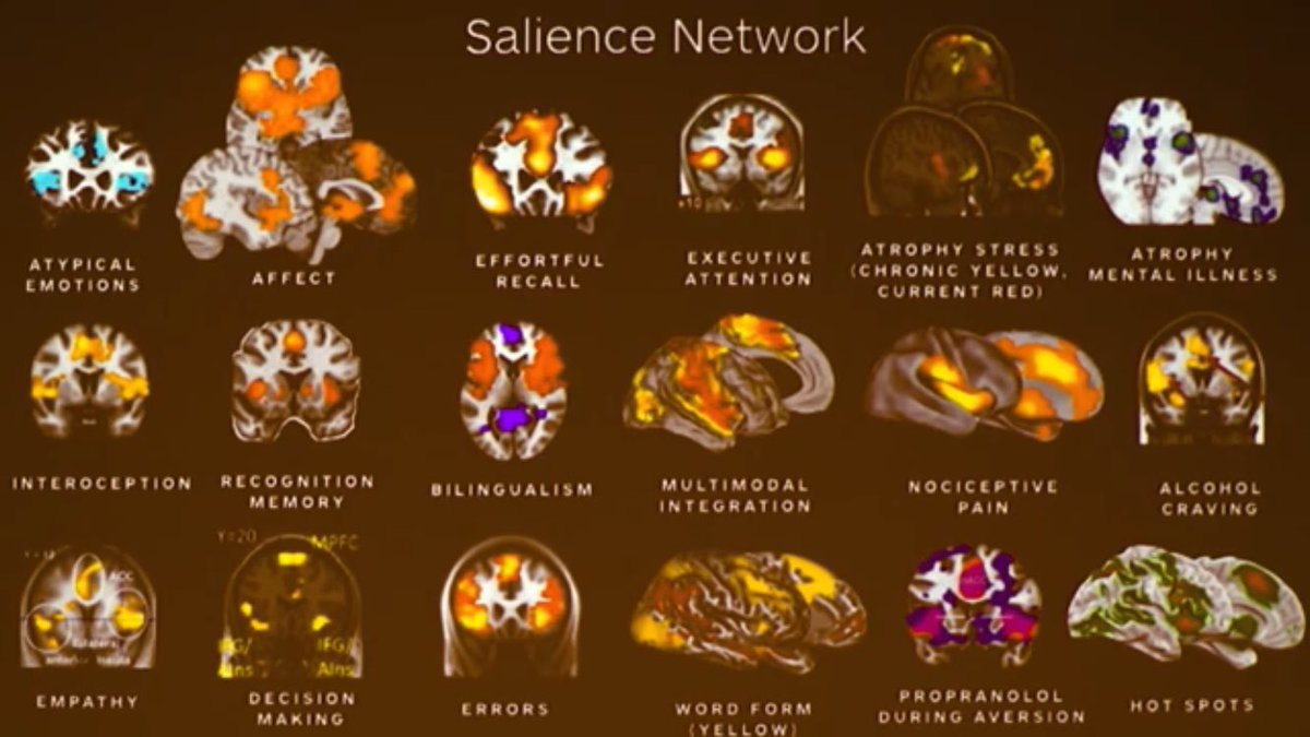 For example, the Salience Network. Which helps us identify important stimuli in our environment, but is also involved in a TON of other things, like processing hunger signals and so on.