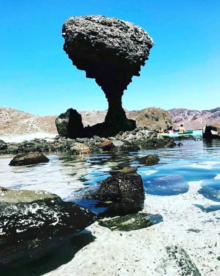 BalandraPlaya's tweet photo. #loscabos #Mexico #viaja https://t.co/RT8OHlDLY4