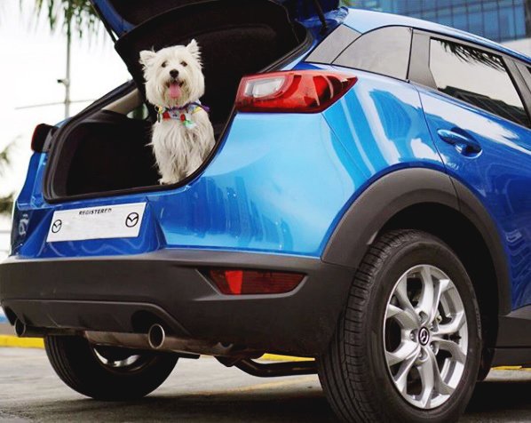 Mazda Philippines tweet media