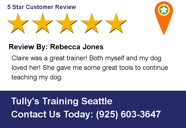 tullystraining's tweet photo. Review By: Rebecca Jones Claire was a great trainer! Both myself and my dog loved her! She gave me some great tools https://t.co/vmvYRwnFpB