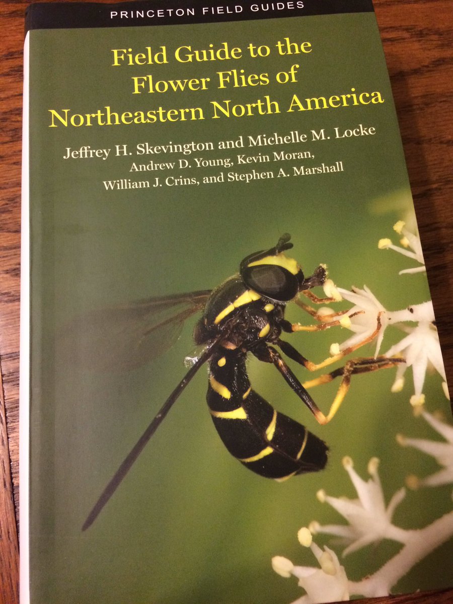 Just got this baby in the mail today! I had it on pre-order and can already tell it will be well-worth the purchase! #syrphidae #hoverflies #fieldseason #newbooksmell