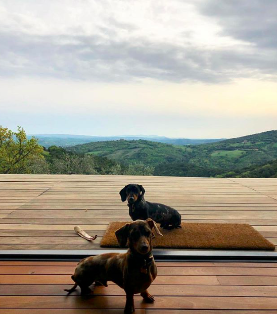 CastelloDiVicarello tweet media