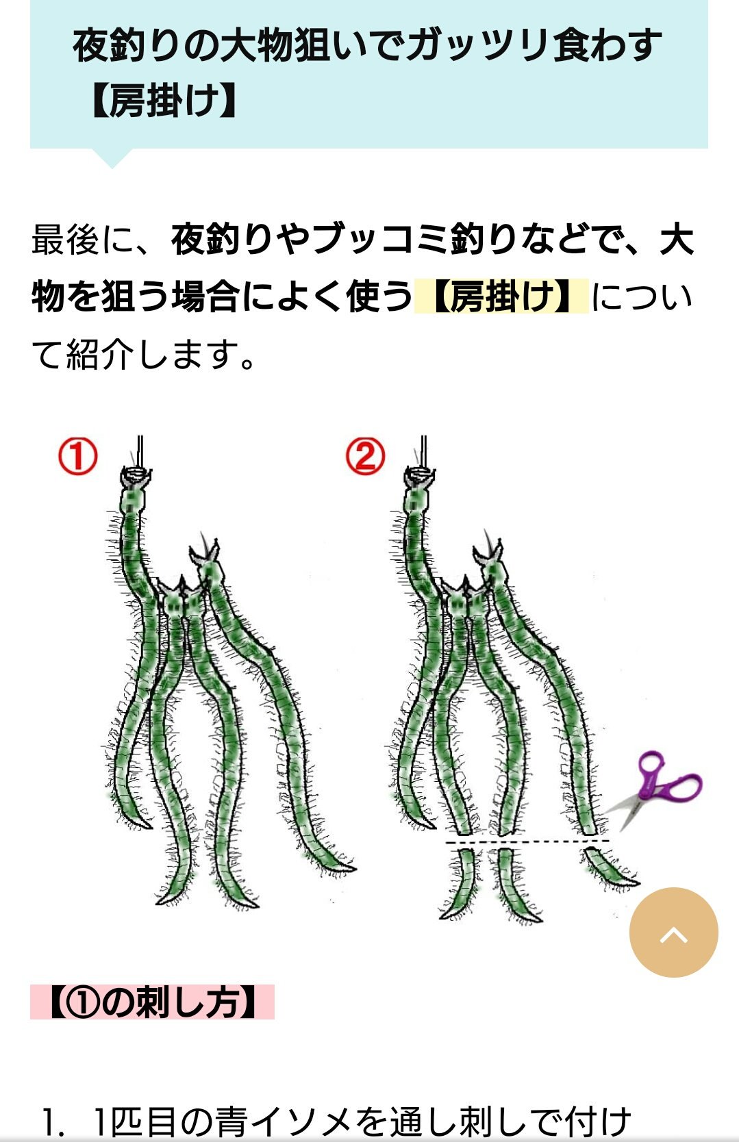 ナイヴァ団長 青虫の針の付け方で 房掛け ってのを調べてたら完全にオルガだった T Co Lmcf7evhod Twitter
