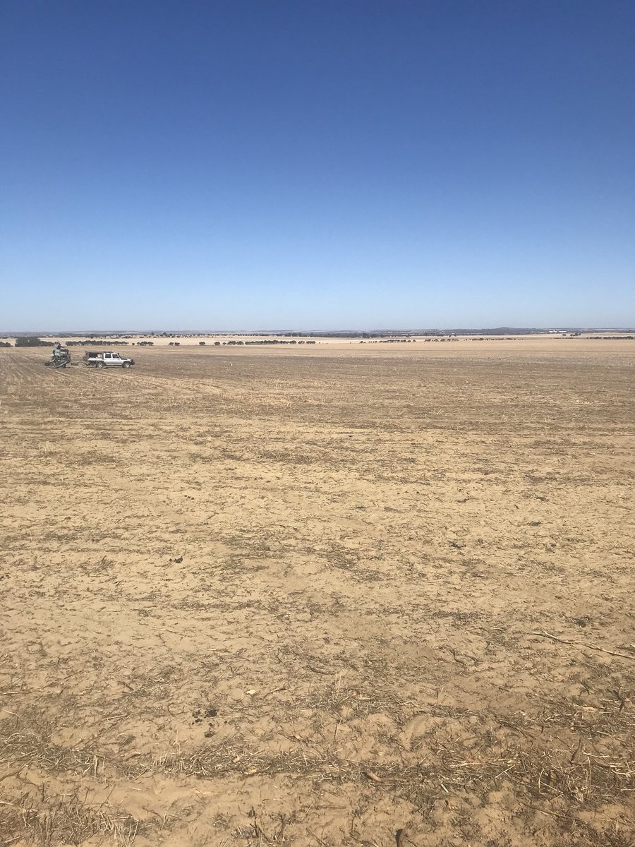 2019 Elders Technology Demonstration Site going in the ground at Cunderdin. Evaluating new and upcoming products. #dryasachip <a href="/EldersLimited/">Elders</a> <a href="/Living_Farm/">Living Farm</a> <a href="/1_BillMoore/">Bill Moore</a>