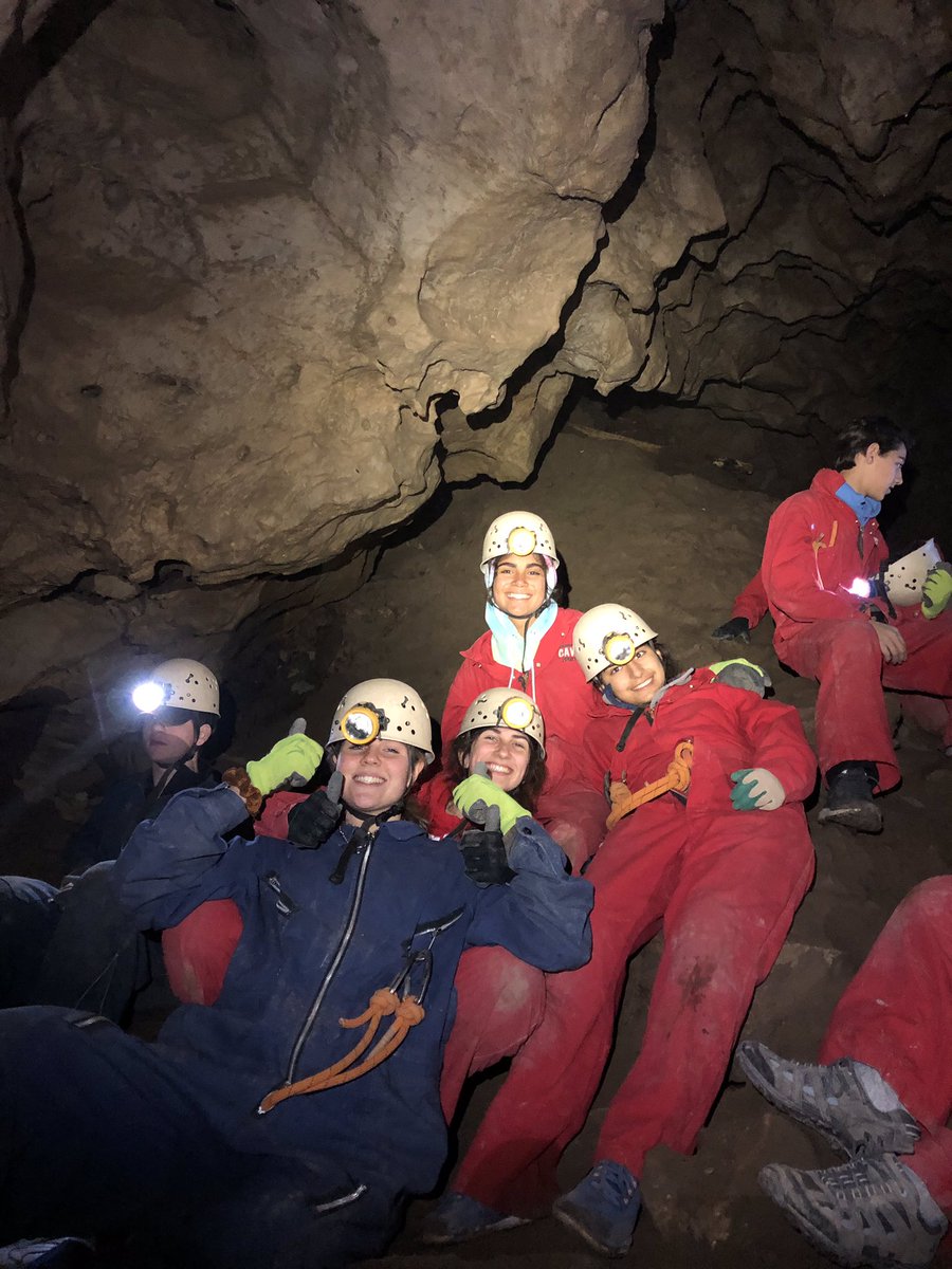 Sarah Charley tweet media