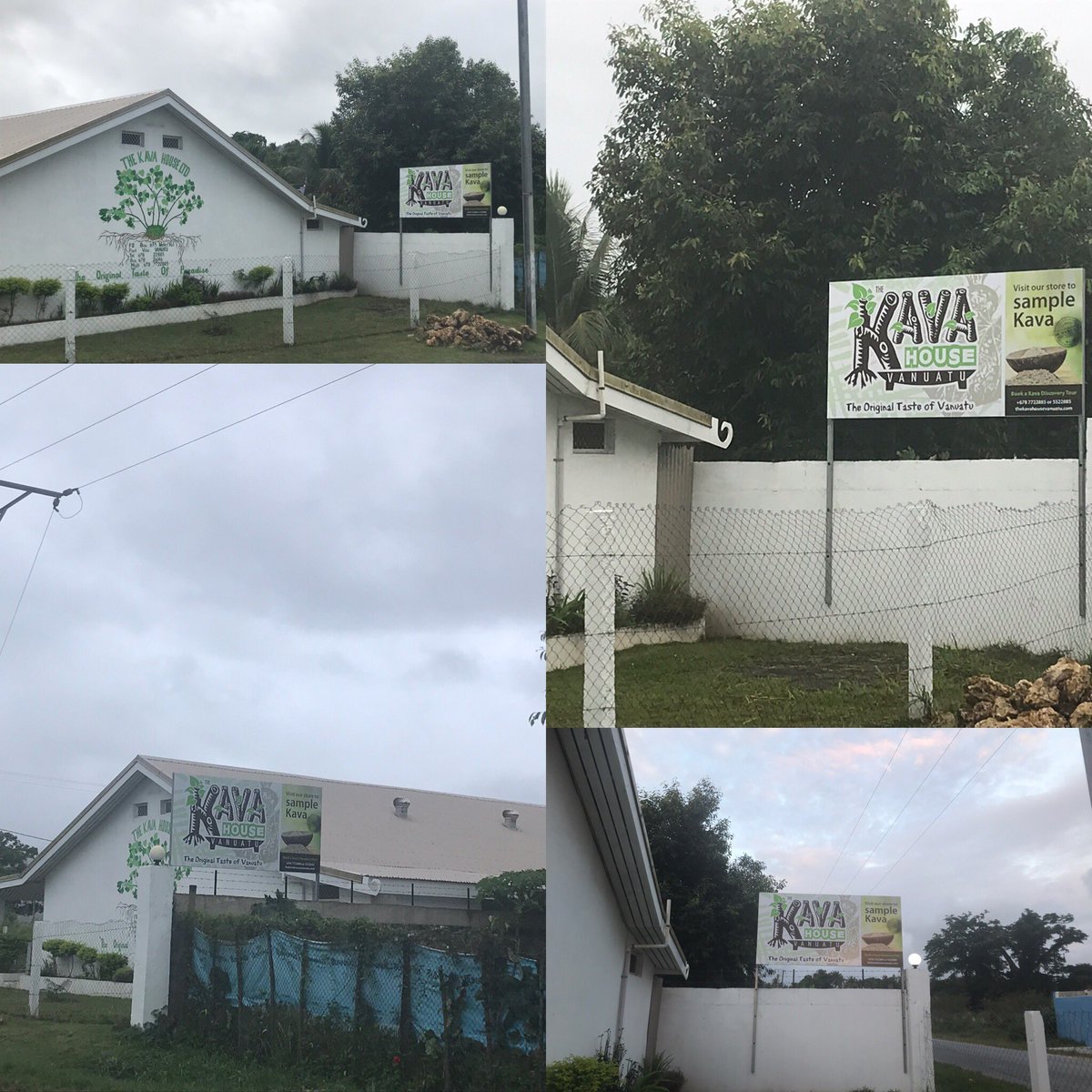 TheKavahouse's tweet photo. Little steps ...Our new signage went up this  week. Thank you #TopSigns for the great job. Special thanks to #BusinessLinkPacific and #PandanusConsulting ! #VanuatuKava #NobleKava #WomenInBusiness #TheKavaHouse #BuyLocal #MSME #BLP #LocallyOwned https://t.co/68P7VCqo0M