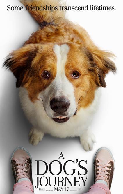 Head to our Facebook page to win tickets to A Dog's Journey!