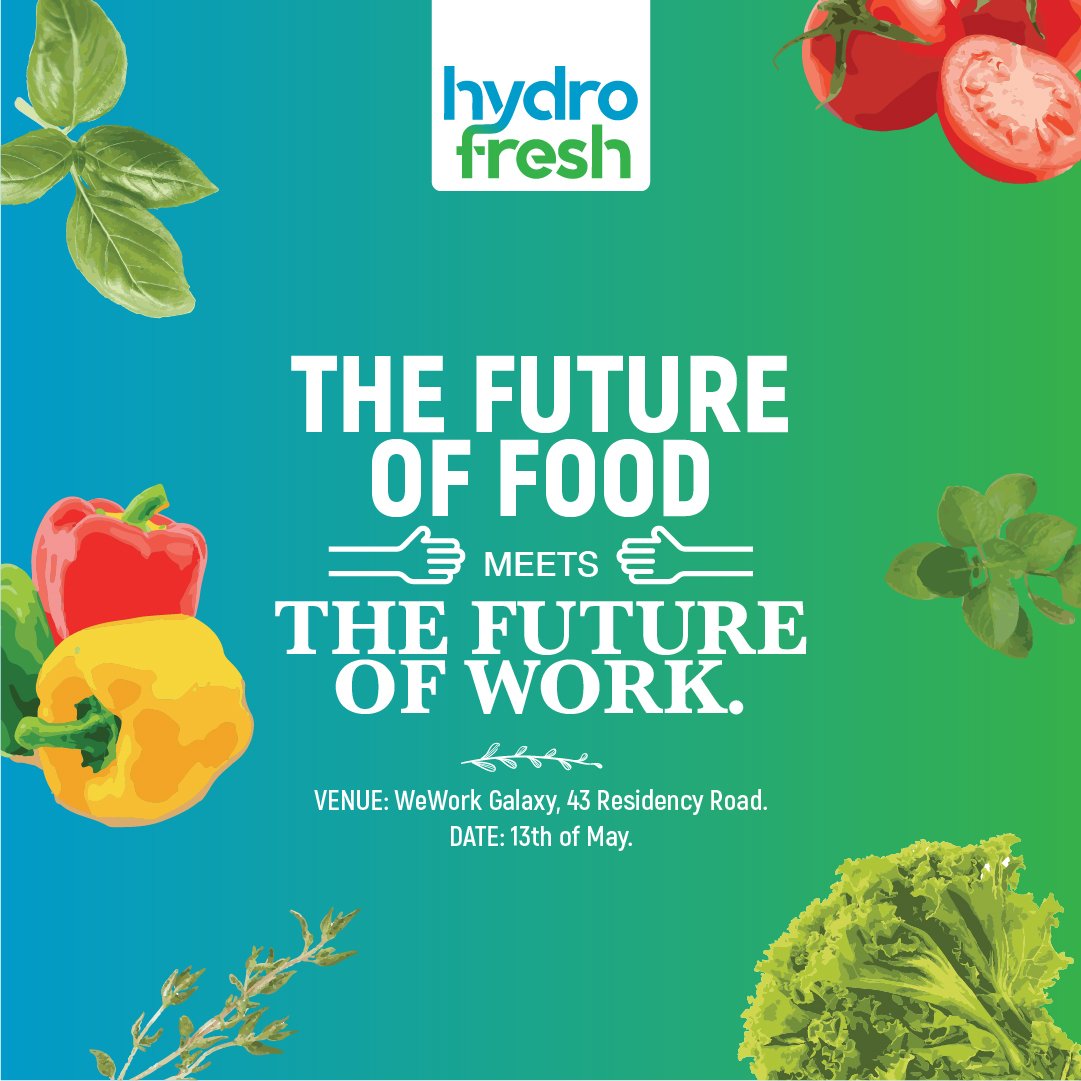 GoHydrofresh's tweet photo. Hydrofresh will be at @WeWork on the 13th of May.
Come taste the goodness of hydroponically grown vegetables

#hydrofresh #hydrokartIndia #Wework #weworkgalaxy #workspace #sharing #gohydrofresh #Bangalore #residencyroad #hydroponics #salads #healthyfood #health #nutritonalfood https://t.co/7QtkL39Zxb