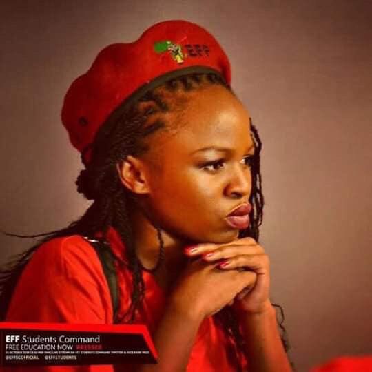 AdvoBarryRoux's tweet photo. It’s is safe to say that Naledi Chirwa, Vuyani Pambo, Peter Keetse and Piaba Madokwe have made it to parliament, those of you who voted EFF you've successfully delivered #FeesMustFall student to parliament. #ElectionResults2019 #ElectionResults #Election2019Results https://t.co/0oDmkZJfpc