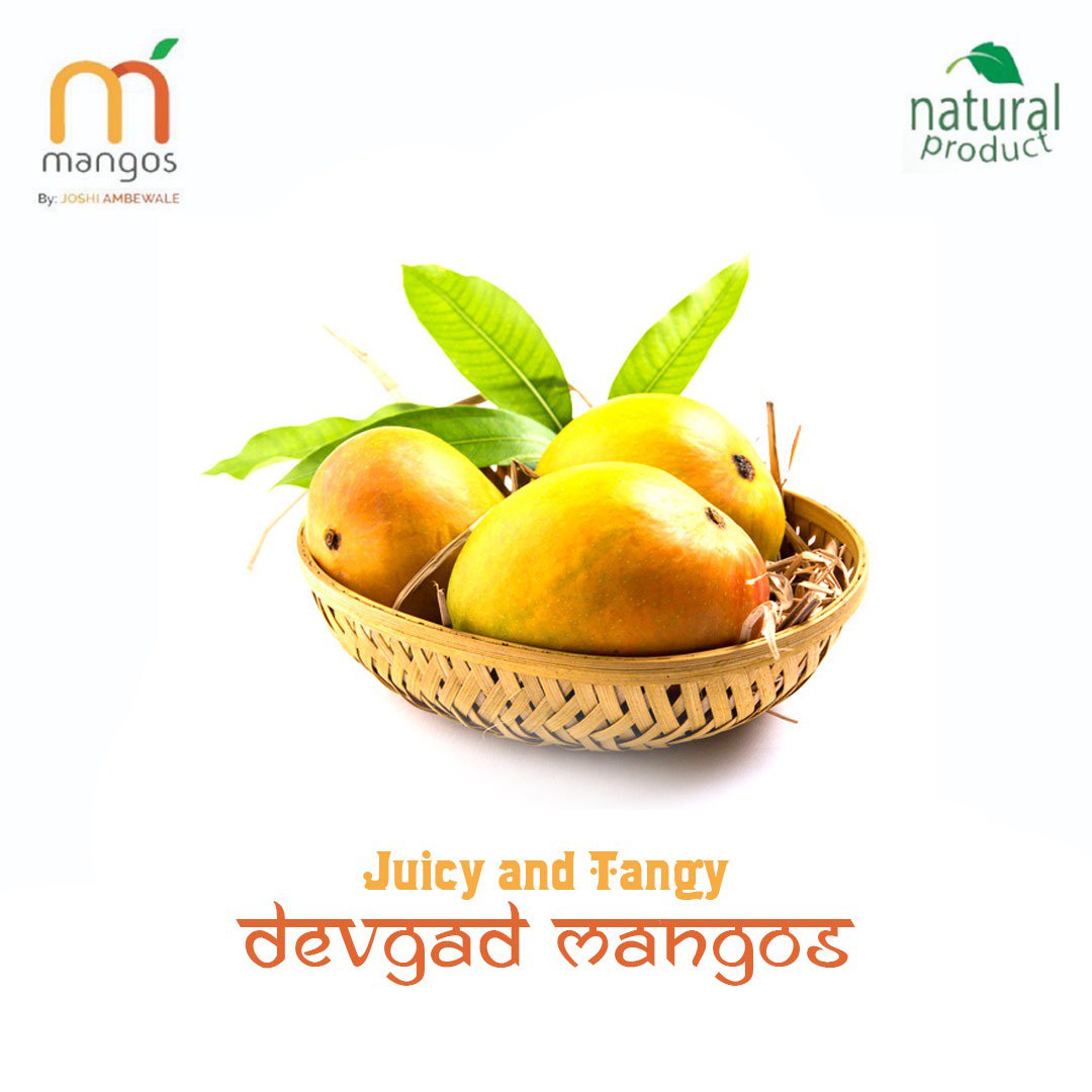 Juicy and Tangy Mangoes only at  Joshi Ambewale
Order now !!
Yeh ❤ Mangoooo 🥭 More...😋
#alphansomangoes #devgadmangoes #ratnagirimangoes #kingoffruits #hapus #naturalmangoes #mangoshake #alphansomangoshake #mangoinpune #mangoloverpune #mangomania #punemangolover #mango
