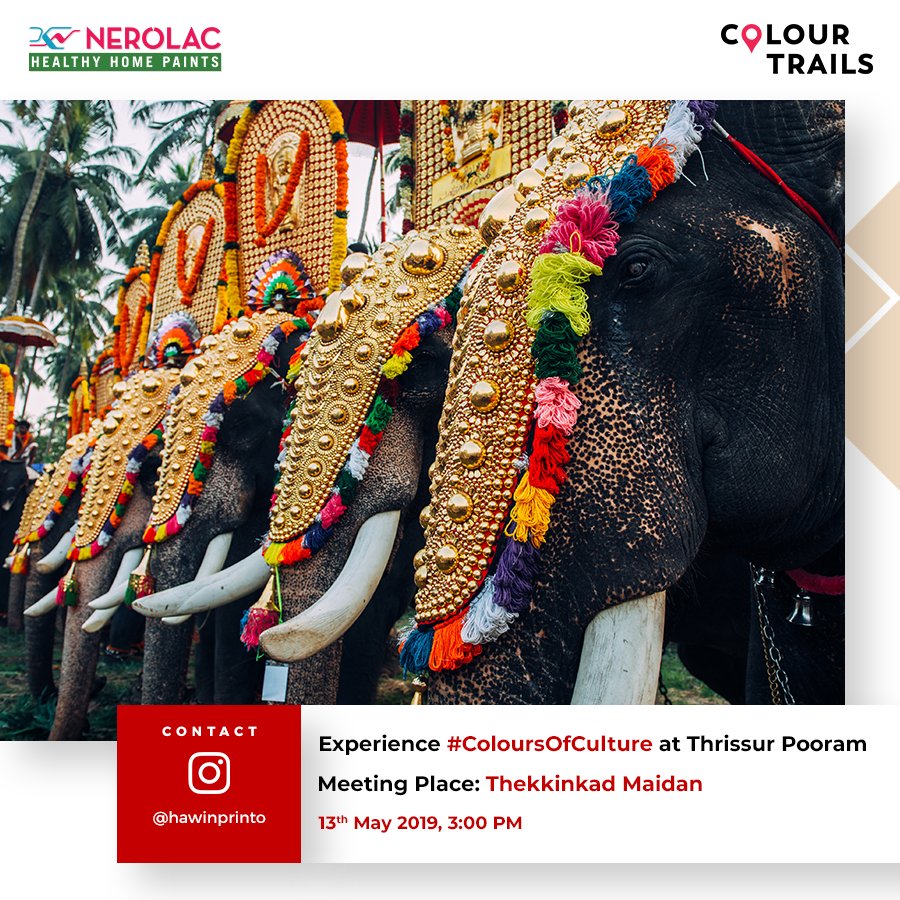 Nerolac_Paints's tweet photo. Also known as the cultural capital of Kerala, Thrissur celebrates the post-harvest season in all its colours. Experience the confluence of culture and celebration at the Thrissur Pooram Festival. Join us on our upcoming photo-walk to Thrissur and capture the #ColoursOfCulture. https://t.co/WvkOaUsccO