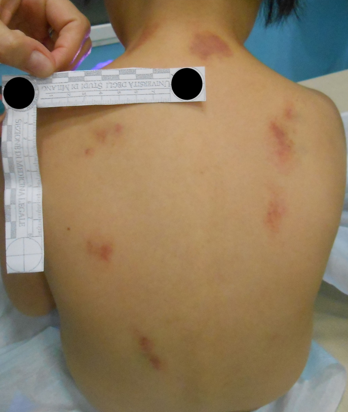 Wouter Karst tweet media