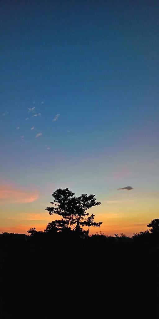 arowolo_fatai's tweet photo. Good morning and Jummah Mubarak.
May our Dua (prayers) be heard, accepted and granted.
Beautiful sunrise from the city of Osogbo.
#Ramadan #Ramadanmubarak #tecno #mobile #camonxpro #photography https://t.co/nopM7mHRNP