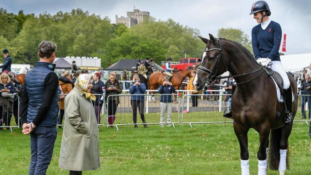 horseandhound's tweet photo. A very royal appointment: dressage ‘King’ Valegro meets The Queen https://t.co/aXawAPnaPA https://t.co/42UDLNmHTC