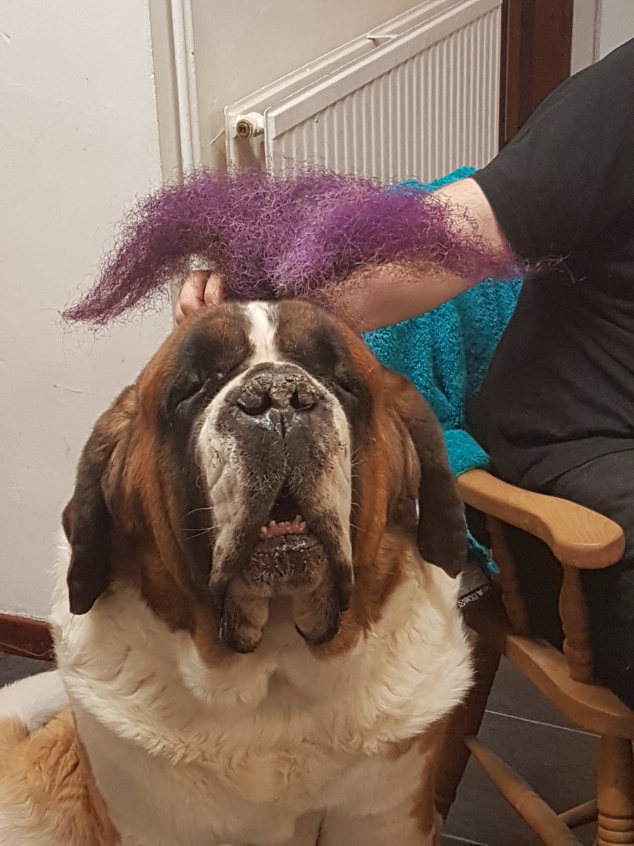 MSUK6's tweet image. #Gogglebox's Scott McCormick @goggle_beard shaves his famous beard to raise money for MS-UK. Click her to watch ow.ly/s3Y750u5h9Y and if you would like to donate visit his Just Giving page ow.ly/JxmV50u5h9Z #MS #MultipleSclerosis #TeanPurple 💜📺🧔 @McCormicksGogg1