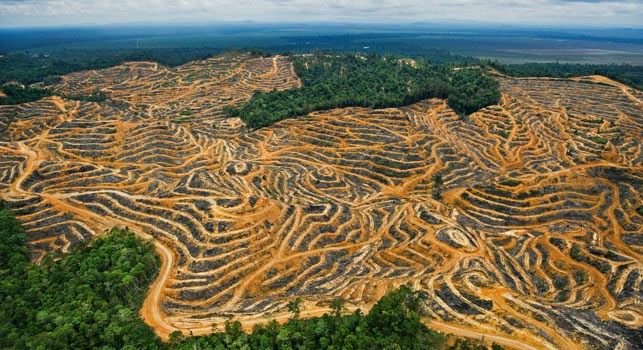 _Naeray's tweet photo. Pour la 1e fois, le jour du dépassement a été calculé à échelle européenne.
L'UE a aujourd'hui, 10 mai, déjà utilisé toutes les ressorces que la Terre peut renouveler en 1 an.
On utilise 20% de la production biologique, alors qu'on n'en représente que 7%.

Le temps est compté. https://t.co/VmmW3PnwPk