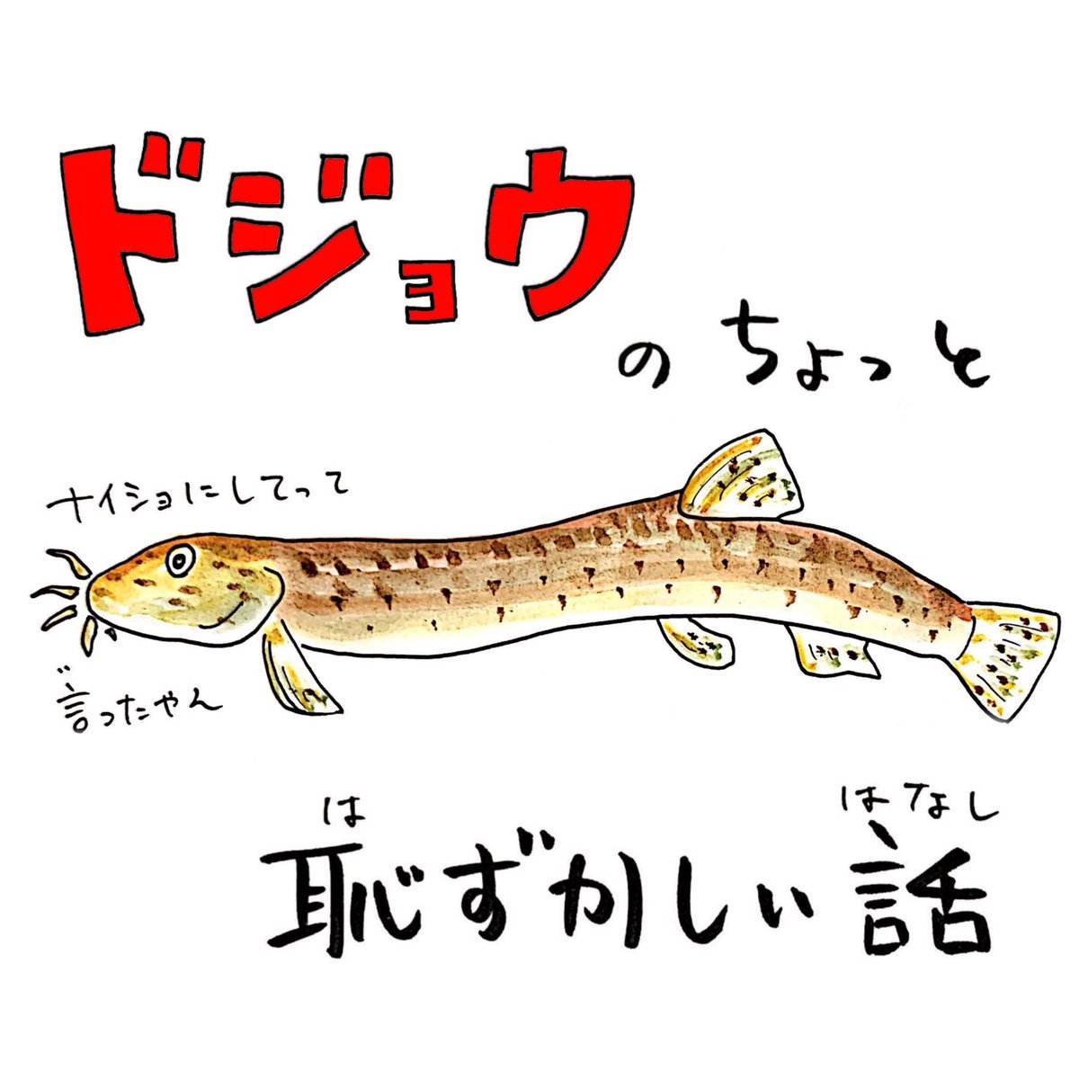 [いきものレッスン?]

今週テーマ『ドジョウのナイショな話』
実は…げっぷ…おなら…をする⁉️
その理由は驚きの生態に✨

宿題クイズ☑︎
「ラッコは普段海の上で
どうやって石を持ってるの❓」

わかったキミ教えてね!
クイズの回答はこちらから???‍♂️#うおにい
https://t.co/0h9wuyM4VH 