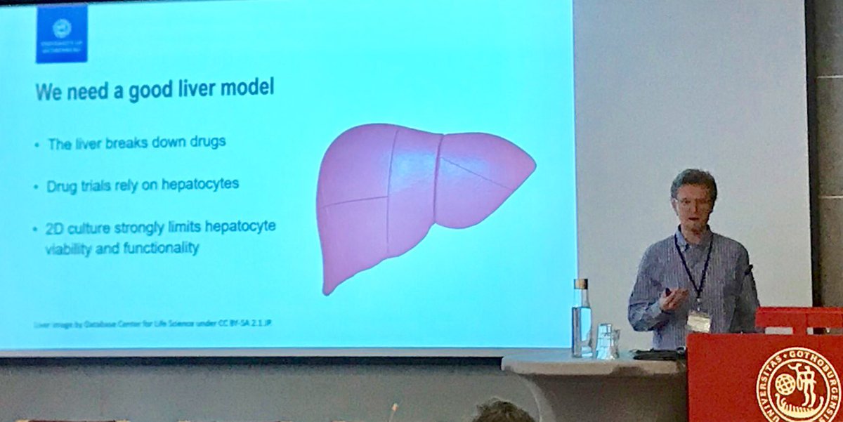 Caroline Adiels (@biophysicslab) on Twitter photo Philip Dalsbecker presenting his recent improvements of our organ-on-chip at the mbm2019 in Gothenburg.
#mbm2019 #DeLiver_ITN <a href="/Naturvetenskap/">Naturvetenskap/GU</a> #biologicalphysics #organonchip Philip Dalsbecker presenting his recent improvements of our organ-on-chip at the mbm2019 in Gothenburg.
#mbm2019 #DeLiver_ITN <a href="/Naturvetenskap/">Naturvetenskap/GU</a> #biologicalphysics #organonchip