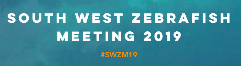 AaronJonScott's tweet photo. The website is now live for the South West Zebrafish Meeting 2019 https://t.co/BlBloiynOZ
Registration/abstract deadline is 20/07/19
Please get in contact if you have any questions.
Thanks to @Co_Biologists & Tecniplast for their generous support!
#SWZM19 https://t.co/poCPDeXerp