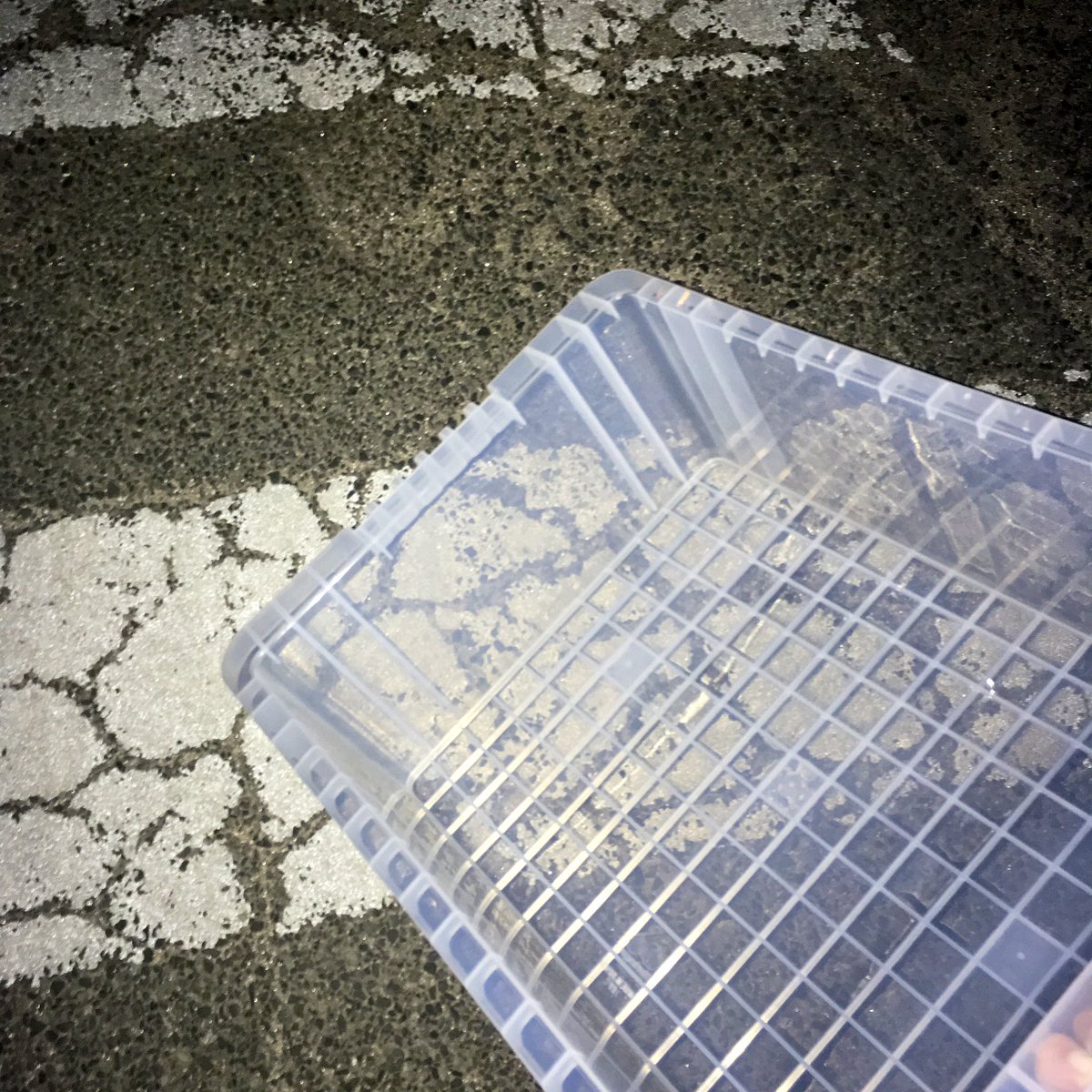 harusaki0007's tweet photo. まぁ不審者だよね
#NV22 https://t.co/9pHNlmWFfJ