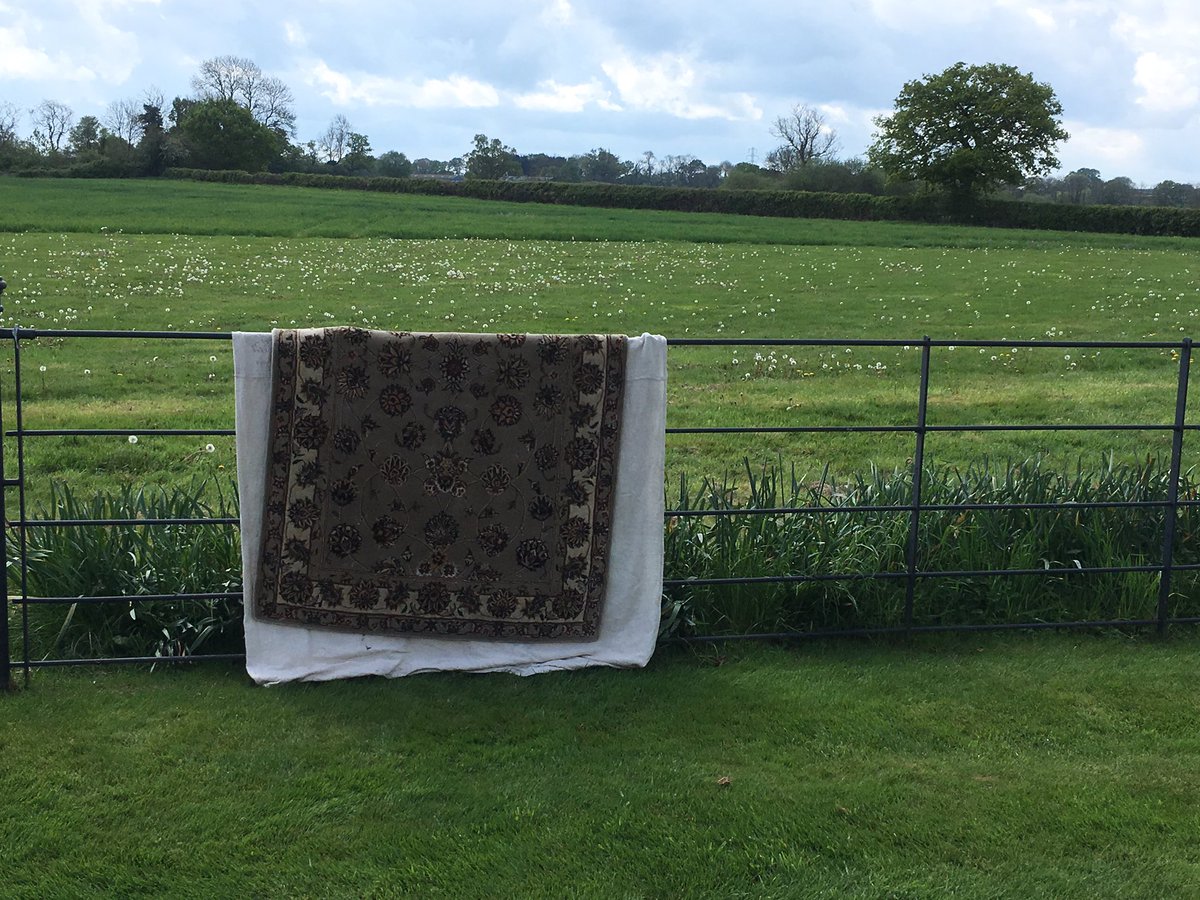Nice scenery for drying rugs today.  Wool with silk highlights if you’re taking notes. #warwick