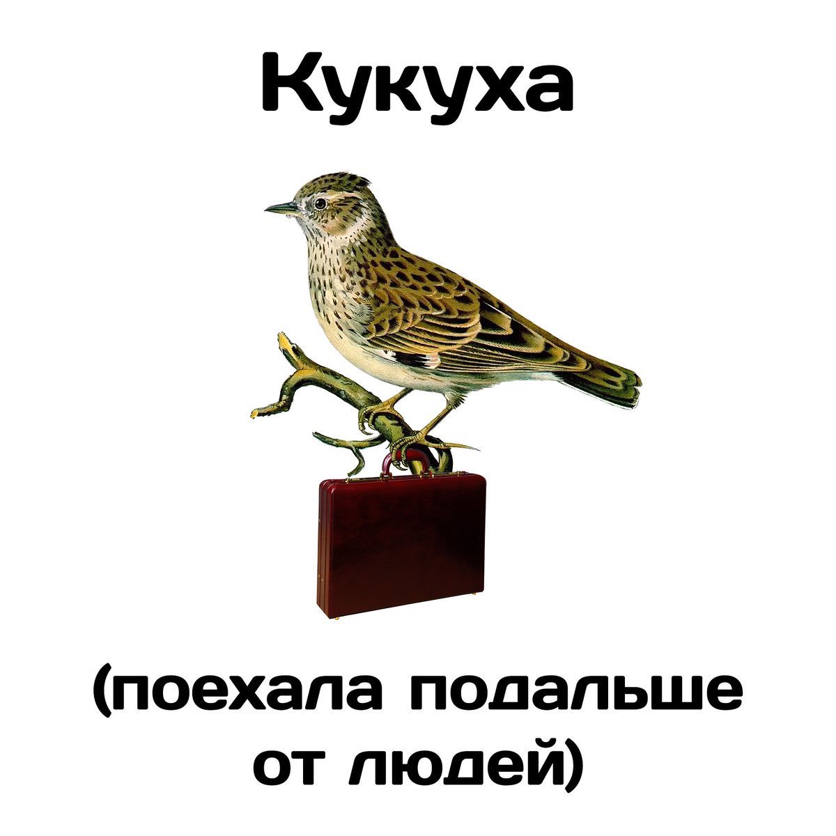 D6MBvrkUIAEQlIi.jpg