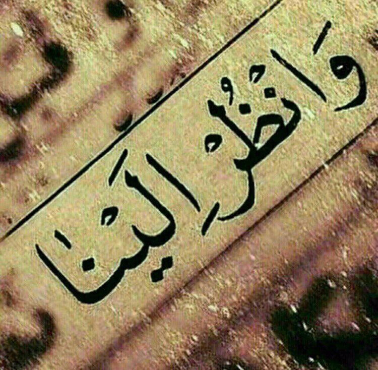 #ياصاحب الزمان . لا تسقطنا من عينك. بسبب قلة حيائنا وكثرة معاصينا..انظر الينا ،كما نظر جدك الحسين"عليه السلام" الى الحُر الرياحي. وغير حالنا .