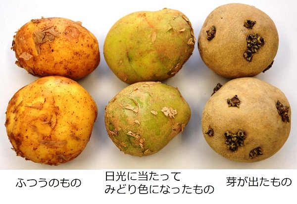 じゃがいもが緑色っぽいのは大丈夫 皮や中身の画像と食べられる場合の対処法