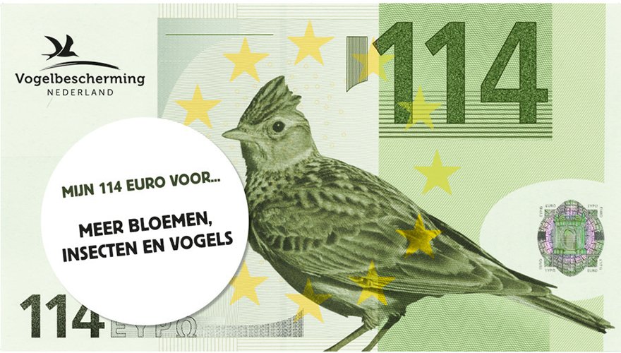 Veel mensen vinden de Europese verkiezingen niet zo boeiend. Wij wel! Onze oproep: stem voor natuur op 23 mei. U betaalt tenslotte jaarlijks 114 euro voor een funeste EU-landbouwpolitiek. Vogelbescherming heeft de programma's tegen het licht gehouden: vogelbescherming.nl/actueel/berich…
