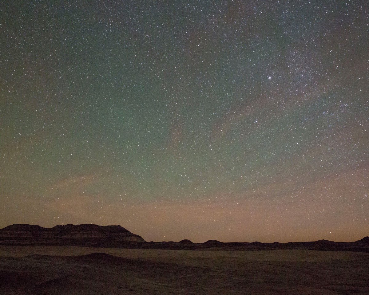 ZeitzMOCAA tweet media