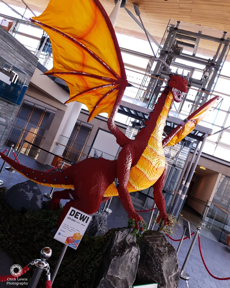 Dewi the dragon at the Senedd, Cardiff Bay, made with over 189,000 Lego bricks.
Celebrating 20 years of devolution in Wales1999 to 2019.
#Cardiff #welcome2cardiff #mycity #citylife #CityAsOne #senedd #CardiffBay #Wales #visitsouthWales #visitWales #VisitCardiff