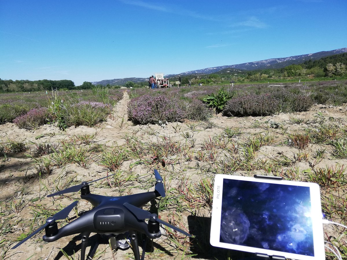 Drone Effect tweet media