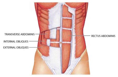 woburnosteos's tweet photo. The quest for a six pack: https://t.co/shBg0wkYq1 https://t.co/72yUL5hfXr