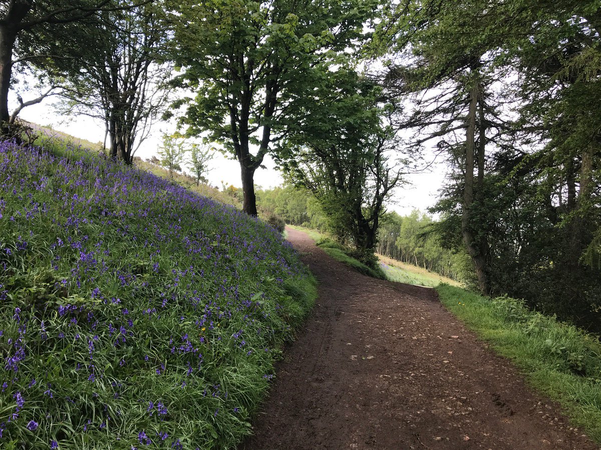 After rain there will be sunshine! What a stunning May morning on #TheMalvernHills - So green, so full of life and the bluebells are still there!
<a href="/TheMalvernsTIC/">Visit The Malverns</a> @MalvHillsTrust <a href="/MHAONB/">Malvern Hills AONB</a> #WorcestershireHour