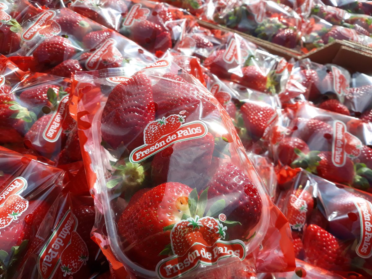 StephensonsApp1's tweet photo. Enjoy the today's sun with some lovely strawberries at great prices! Spanish strawberry punnets just £1 each! We're also well stocked with plenty of treats to brighten up your garden, with a wealth of bedding and other plants giving you plenty to choose from! #shopappleby https://t.co/Nie4ivGt2A