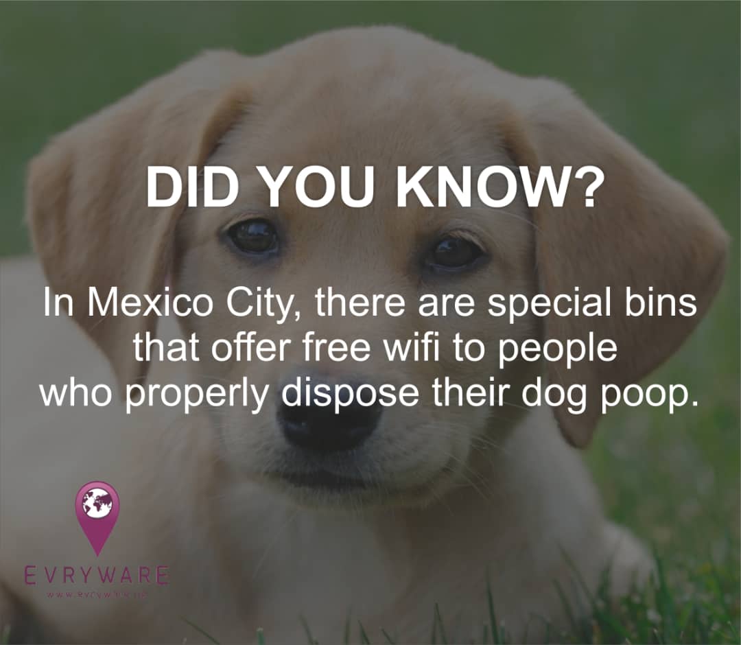 evrywaretech's tweet image. Comment, like and share for more info. #EvrywareLife #TheSmartLife #TechNuggets #TGIF #FridayMotivation #FridayThoughts