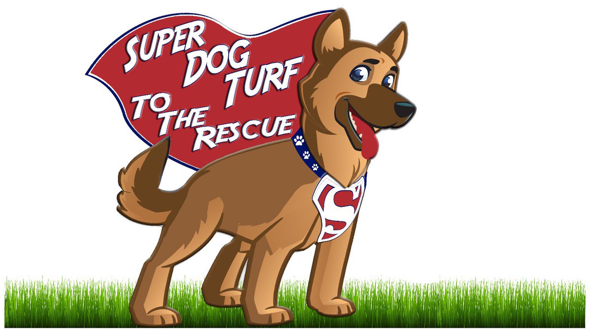 SuperDogTurf's tweet photo. We're delighted to launch our latest product SuperDog Turf. SuperDog Turf has all the excellent benefits of artificial grass with the added bonus of our Zeo+ infill which removes any smells, bacteria & stains from pet urine.
See our website - https://t.co/e2gcqam0bd #dogturf #dog https://t.co/MxHHCSz2oa