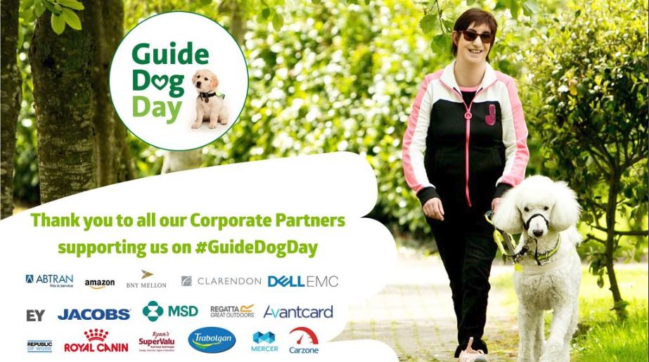 AvantMoneyIre's tweet image. Meet Odin! Odin is our sponsored guide dog who is thriving at just 14wks old. According to his raisers, he is a wonderful gardener and loves playing outside. Today is #guidedogday, and we want to praise @irishguidedogs for all their work in giving independence to those in need.