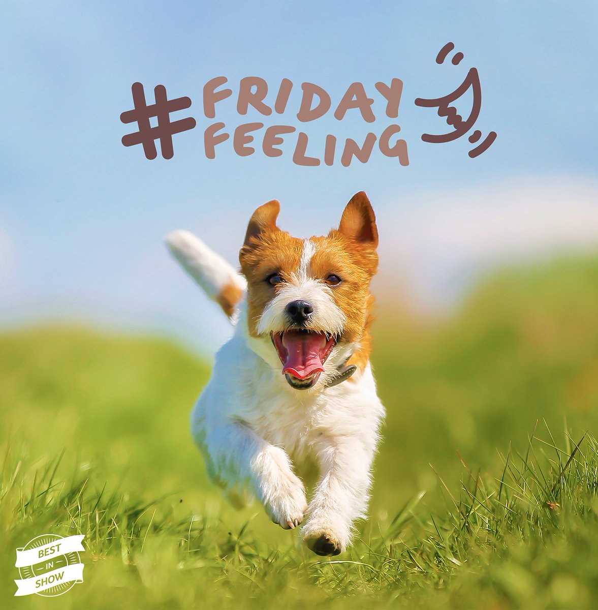 Thank Woof Its Friday!!! #TWF #FridayFeeling