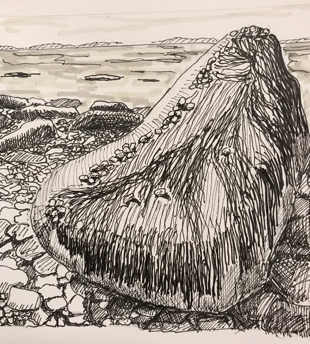 York Killarney tweet media