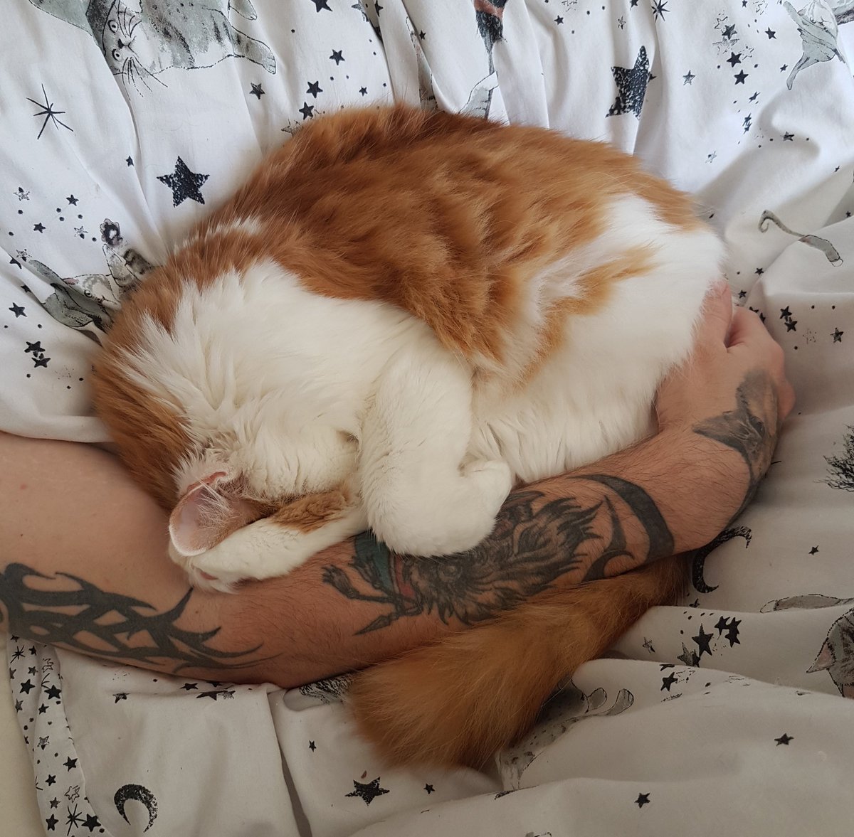 sweetbabylogan's tweet photo. Daddy's home from work not feeling well, so im looking after him https://t.co/BDKRhJdv8S