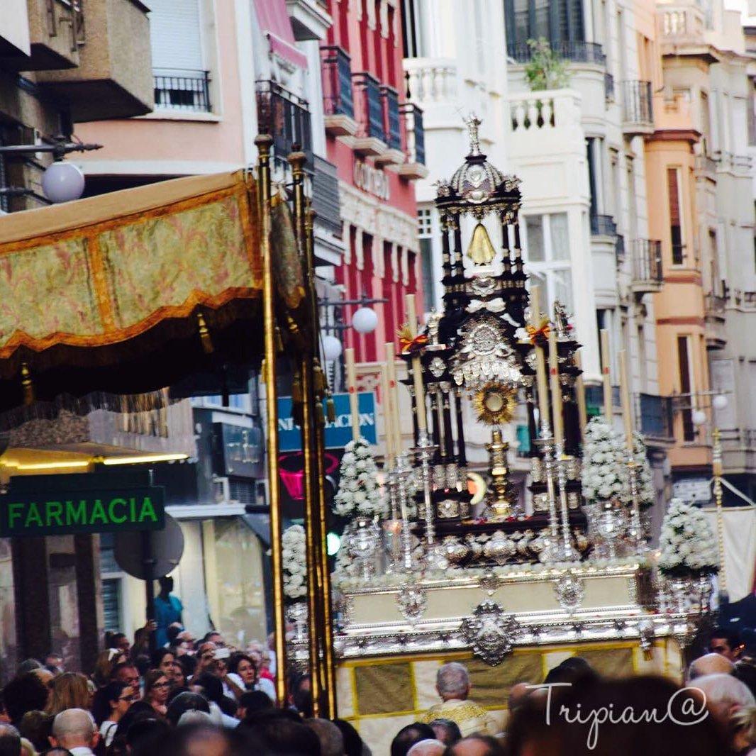 CorpusChristiElx tweet media