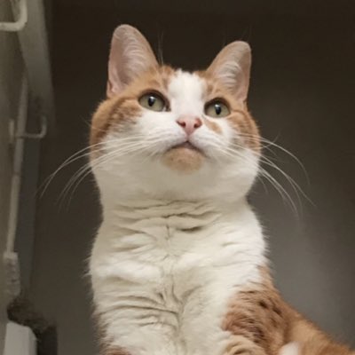 Mr_Dangerpants's tweet photo. #NewProfilePic https://t.co/FxXwHrDAsj