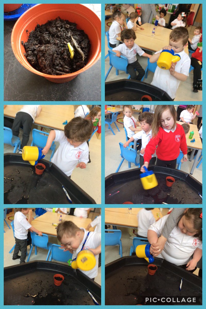 MrsHocknullDPS's tweet photo. Class 1 are doing a great job of caring for their bean plants. 🌱 We need to water them every day. 💦 They are starting to sprout up. We also planted a special beanstalk for Jack. We used a clear cup so we can watch the roots grow. @drumparkprimary https://t.co/XbOywUyffC