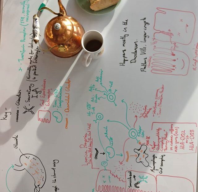 FoodBioGCU's tweet image. Creative studying from @FoodBioGCU @GCU_BIO student Fergus! Whatever works for you! #foodbio #gcubio #studytechnique #tekkers