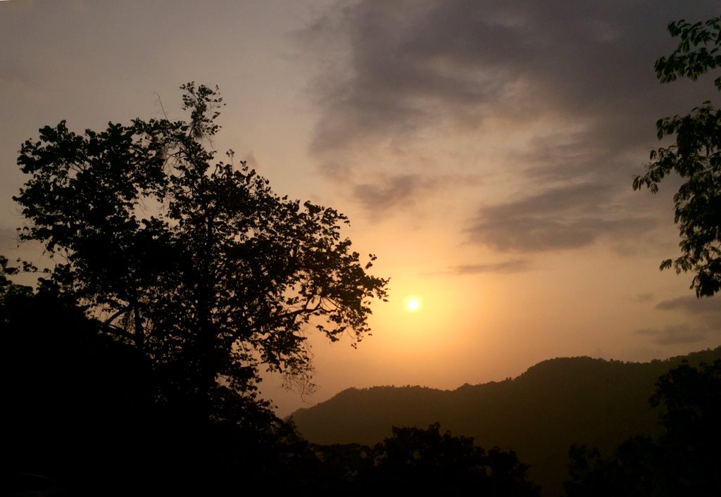 faisel43060494 tweet picture