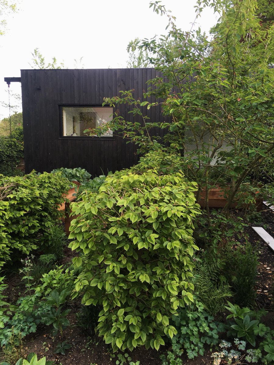 Williams Griffiths tweet media