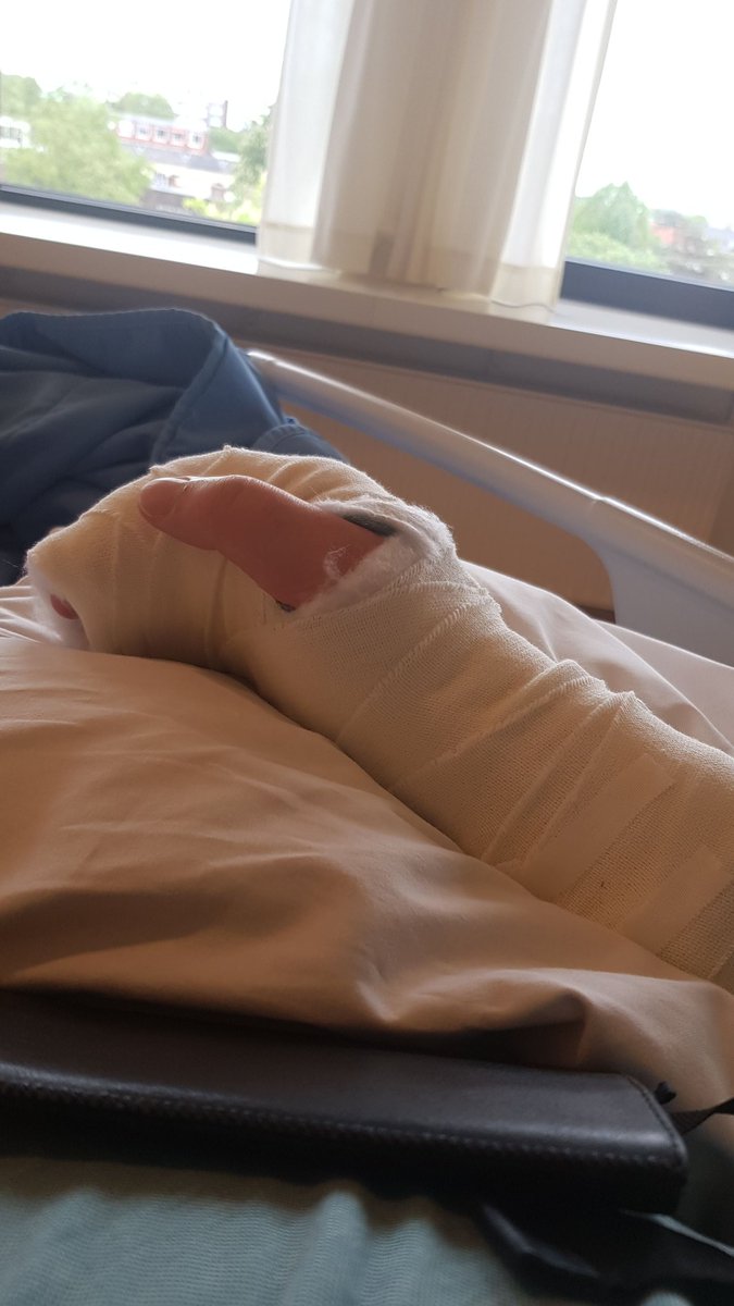 Eltjo Dijkhuis tweet media