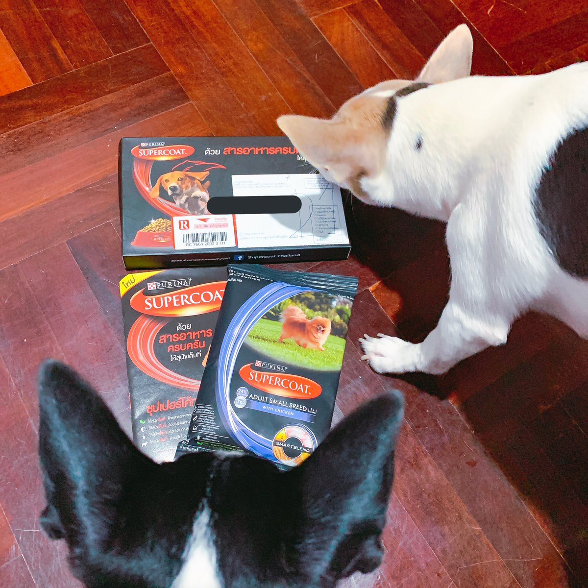 rt_ad_chihuahua's tweet image. เช็คของหน่อยยยย #supercoat