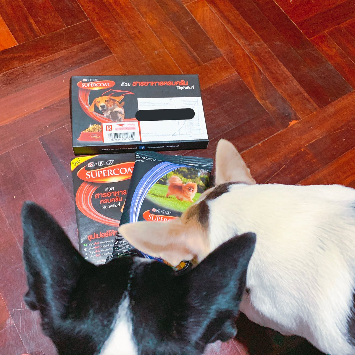 rt_ad_chihuahua's tweet image. เช็คของหน่อยยยย #supercoat